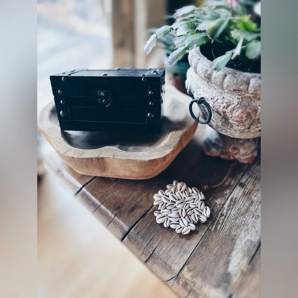 Ornament / Cowrie Shell / Keepsake Box